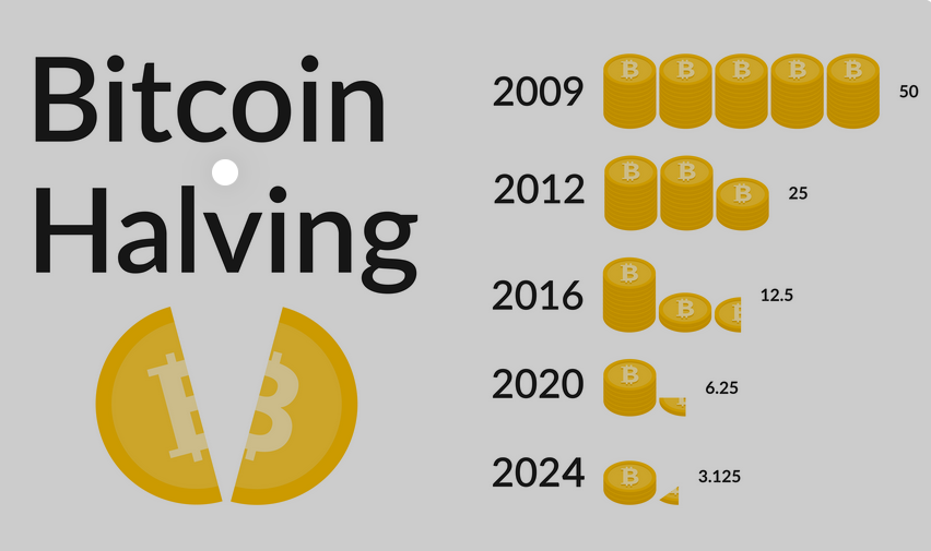 PayNews32 explains crypto halfing